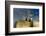 Los Angeles, California. the Disney Concert Hall Exterior-Rona Schwarz-Framed Photographic Print