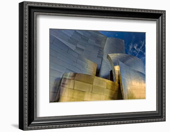 Los Angeles, California. the Disney Concert Hall Exterior-Rona Schwarz-Framed Photographic Print