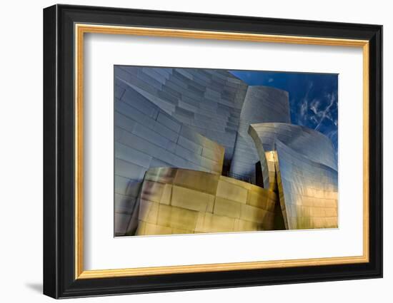 Los Angeles, California. the Disney Concert Hall Exterior-Rona Schwarz-Framed Photographic Print