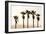 Los Angeles, California, USA: Five Palm Tress In A Row During The Golden Hour Just Before Sunset-Axel Brunst-Framed Photographic Print