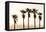 Los Angeles, California, USA: Five Palm Tress In A Row During The Golden Hour Just Before Sunset-Axel Brunst-Framed Premier Image Canvas