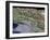 Los Angeles, California-Stocktrek Images-Framed Photographic Print