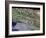 Los Angeles, California-Stocktrek Images-Framed Photographic Print