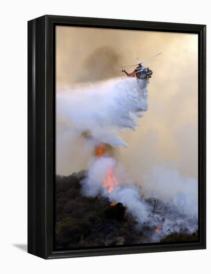 Los Angeles City Fire Helicopter Drops Water on a Hot Spot in the Angeles National Forest-null-Framed Premier Image Canvas