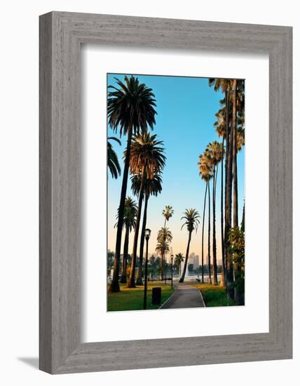 Los Angeles Downtown Park View with Palm Trees.-Songquan Deng-Framed Photographic Print