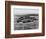 Los Angeles: Stadium, 1962-null-Framed Giclee Print