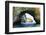 Los Arcos National Marine Park in Mexico near Puerto Vallarta-elenathewise-Framed Photographic Print