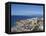 Los Cristianos, Tenerife, Canary Islands, Spain, Atlantic, Europe-Jeremy Lightfoot-Framed Premier Image Canvas