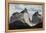 Los Cuernos Del Paine, Torres Del Paine National Park, Patagonia, Chile, South America-Tony-Framed Premier Image Canvas