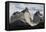 Los Cuernos Del Paine, Torres Del Paine National Park, Patagonia, Chile, South America-Tony-Framed Premier Image Canvas