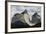 Los Cuernos Del Paine, Torres Del Paine National Park, Patagonia, Chile, South America-Tony-Framed Photographic Print