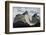 Los Cuernos Del Paine, Torres Del Paine National Park, Patagonia, Chile, South America-Tony-Framed Photographic Print