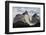 Los Cuernos Del Paine, Torres Del Paine National Park, Patagonia, Chile, South America-Tony-Framed Photographic Print