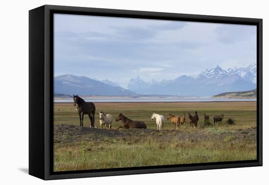 Los Glaciares National Park, Patagonia, Argentina-Peter Groenendijk-Framed Premier Image Canvas