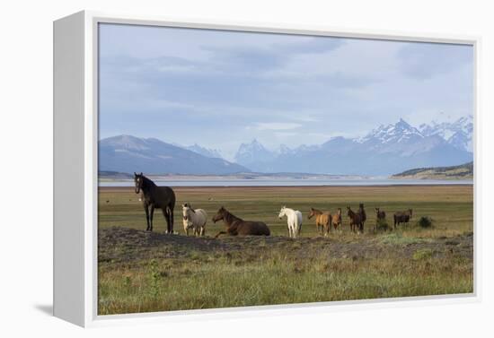 Los Glaciares National Park, Patagonia, Argentina-Peter Groenendijk-Framed Premier Image Canvas