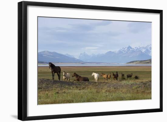 Los Glaciares National Park, Patagonia, Argentina-Peter Groenendijk-Framed Photographic Print