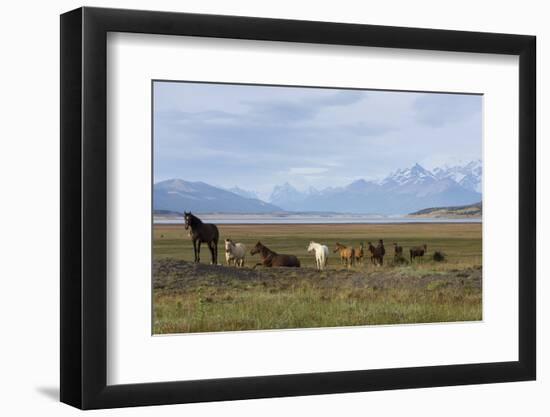 Los Glaciares National Park, Patagonia, Argentina-Peter Groenendijk-Framed Photographic Print