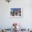 Los Zancudos, Stilt Dancers in Old Havana World Heritage Area, Cuba-Mark Hannaford-Framed Photographic Print displayed on a wall