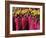 Losar, New Year Celebrations, Labrang Monastery, Gansu Province, China-Occidor Ltd-Framed Photographic Print