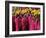 Losar, New Year Celebrations, Labrang Monastery, Gansu Province, China-Occidor Ltd-Framed Photographic Print