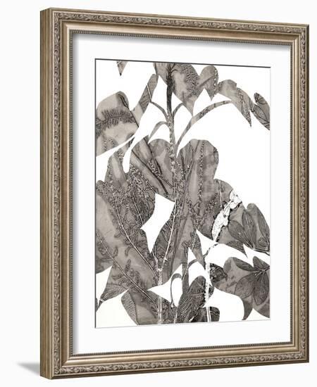 Losarim-Cynthia MacCollum-Framed Art Print