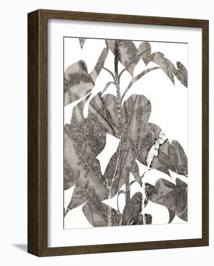 Losarim-Cynthia MacCollum-Framed Art Print