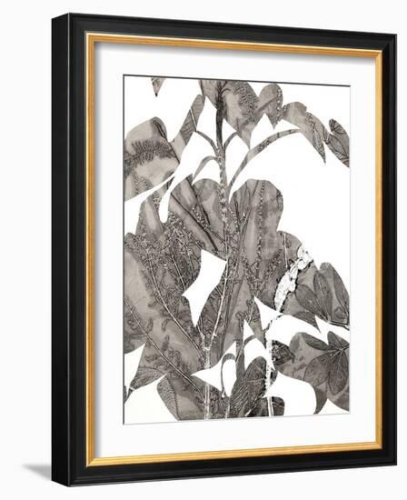 Losarim-Cynthia MacCollum-Framed Art Print