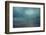 Lost At Sea I-Doug Chinnery-Framed Photographic Print