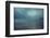 Lost At Sea I-Doug Chinnery-Framed Photographic Print