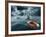 Lost At Sea-paul fleet-Framed Premium Photographic Print