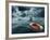 Lost At Sea-paul fleet-Framed Photographic Print