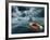 Lost At Sea-paul fleet-Framed Photographic Print