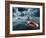 Lost At Sea-paul fleet-Framed Photographic Print