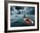 Lost At Sea-paul fleet-Framed Photographic Print