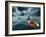 Lost At Sea-paul fleet-Framed Photographic Print