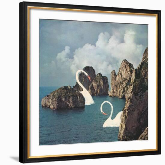 Lost but not Worried-Danielle Kroll-Framed Giclee Print