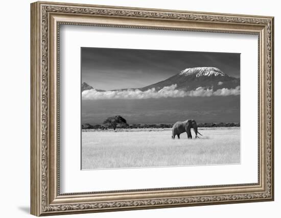 Lost Colors II-Ibrahim Canakci-Framed Photographic Print