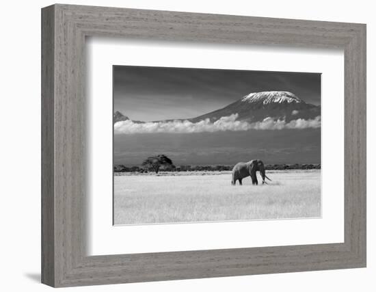 Lost Colors II-Ibrahim Canakci-Framed Photographic Print