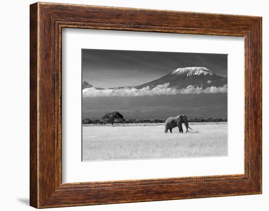 Lost Colors II-Ibrahim Canakci-Framed Photographic Print