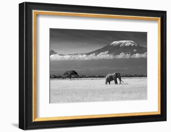 Lost Colors II-Ibrahim Canakci-Framed Photographic Print