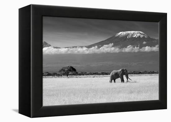 Lost Colors II-Ibrahim Canakci-Framed Premier Image Canvas