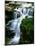 Lost Creek Falls-Ike Leahy-Mounted Photographic Print