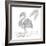 Lost Flamingo-Pam Varacek-Framed Art Print