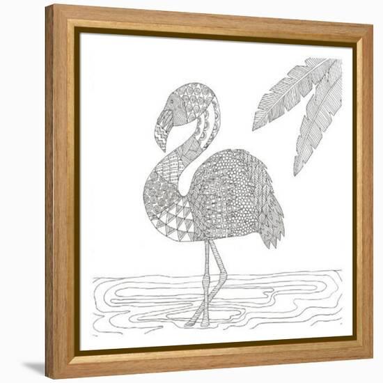 Lost Flamingo-Pam Varacek-Framed Stretched Canvas