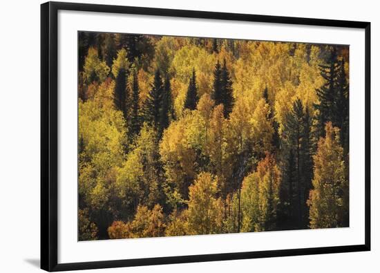 Lost In Fall-Bill Philip-Framed Giclee Print