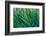 Lost in green-Marco Carmassi-Framed Photographic Print