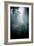 Lost in the Forest-David Baker-Framed Photographic Print