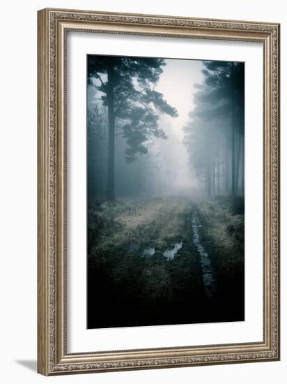 Lost in the Forest-David Baker-Framed Photographic Print