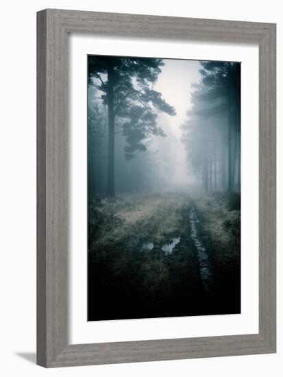 Lost in the Forest-David Baker-Framed Photographic Print