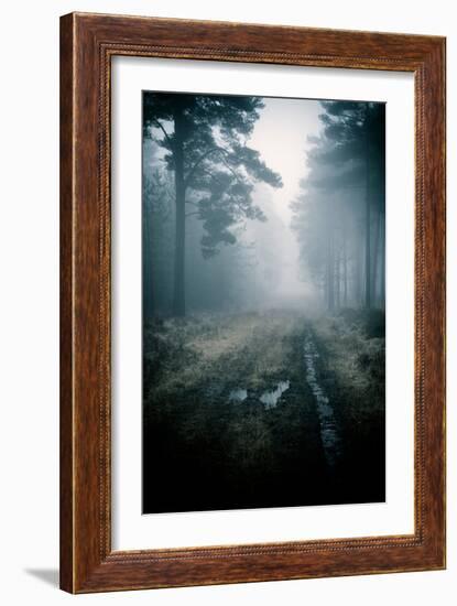 Lost in the Forest-David Baker-Framed Photographic Print